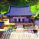 김룡사
