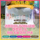 샘터어린이공원 | 부산 사하 괴정회화나무샘터공원 플리마켓 '마켓온니' 와 6월 행사