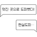 그때소리지른사람은접니다 이미지