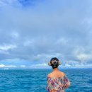 하진삼거리 | 필리핀 보홀 항공권 20만원대 ! 보홀 알로나비치 맛집 내돈내산 후기 공항세