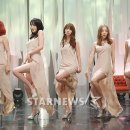 카라 미디어 이미지