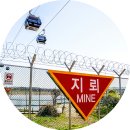 26년7월9일 파주(임진각평화누리공원,평화곤돌라), KBS 만남의숲 08시 출발 , 회비 60,000원 이미지