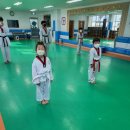 금빛나래태권도 이미지