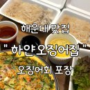 해운대하얀집 | 미포 맛집 해운대 하얀오징어집 오징어회 포장후기