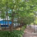 경기도 용인시 기흥구 영덕 레스피아 맨발길 여행. 이미지