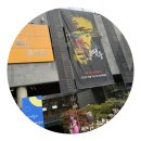 솔리유치원 이미지