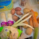 경희대한얼태권도 이미지