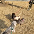 SOK 속편한내과의원 이미지