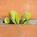 하남사랑공인중개사사무소 이미지