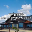 신도리-5 | 제주 서쪽 가볼만한곳 제주 미쁜제과 돌고래 스팟 한옥 카페에서 힐링한 후기 (주차 메뉴 포토존 총정리)