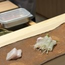 시류 | 압구정 스시 시류 재방문 후기 |즐거웠던 2026년의 첫 스시