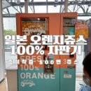 일본여행44 오렌지주스자판기 500엔 쥬스100%착즙 후기