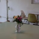 에브리데이 벌스데이 이미지