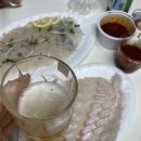 싱싱회수산물회 이미지