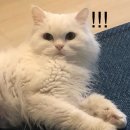 작고 소중해 이미지