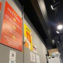 미스터낙곱새 이미지