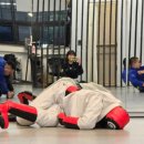 삼양다목적체육관 | 주짓수 1년 8개월차 기술 고민/ 스트릿주짓수 대회