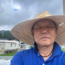 도척면-1 이미지