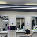 하비헤어 이미지