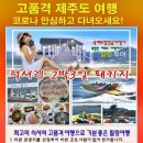 한나여행사 이미지