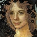 프리마 베라 이미지