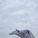 인생은 우리가 음미할 틈을 안준다