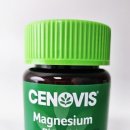 애니핏그라운드 이미지