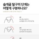 서산동물병원 이미지