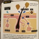 한국인 냄새 유전자 관련 과학책 내용 이미지