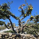 난동회관 이미지