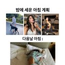 해드래 이미지