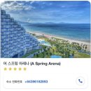 대실농장 | 2026.3.17~3.24 나트랑