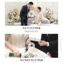 메이크업스타.인터뷰스타 | 결혼식 본식 DVD 가성비 업체 추천 드뉴웨딩 스냅스타 짝꿍코드 할인꿀팁 계약후기