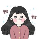 아마도특별한 이미지