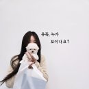 부산강아지분양 유독 이미지