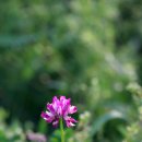 연화초등학교 이미지