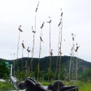 작품5(솟대) 이미지