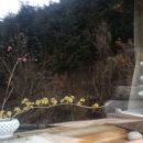 축령산휴림 이미지