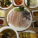 해광수산 - 거제시 | 대천항수산시장 '해광 돌고래수산' (feat. 내돈내산 광어 2.5kg)