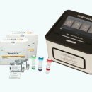 진시스템 이미지