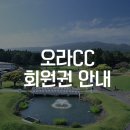 오라오라 - 안성시 동항공단길 8 | 오라오라