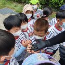 본아미강남어린이집 이미지