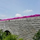 나이스카랜드 이미지