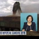 다국적식탁