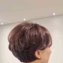 시니어미용실 네이버블로그