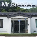 미스터브리더 이미지