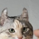 세시부터행복