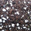 김종군농장 이미지