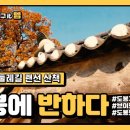 효자종합사회복지관 이미지