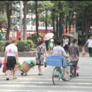 신호등 같은 인생 ... 이미지